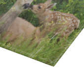 Mule Deer Doe with Fawn Schneidebrett (Ecke)