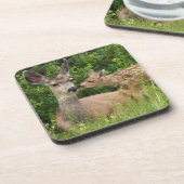 Mule Deer Doe with Fawn Untersetzer (Linke Seite)