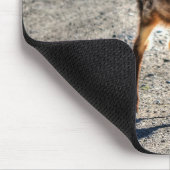 Mule Deer Fawn Baby Animal Wildlife Foto Mousepad (Ecke)