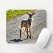 Mule Deer Fawn Baby Animal Wildlife Foto Mousepad (Mit Mouse)