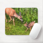 Mule Deer Fawn & Mother Wildlife Foto Mousepad (Mit Mouse)