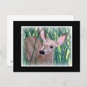 Mule Deer Fawn Postkarte (Vorne/Hinten)