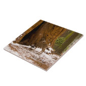 Mule Deer Fliese (Seite)