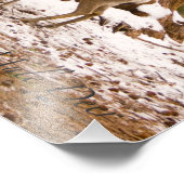 Mule Deer Fotodruck (Ecke)