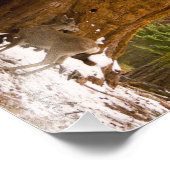 Mule Deer Fotodruck (Ecke)