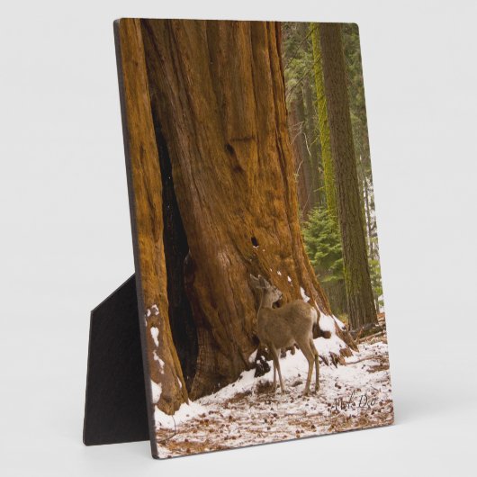 Mule Deer Fotoplatte (Seite)