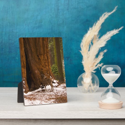 Mule Deer Fotoplatte (Seite)