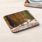 Mule Deer Getränkeuntersetzer (Linke Seite)