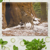 Mule Deer Handtuch (Gefaltet)