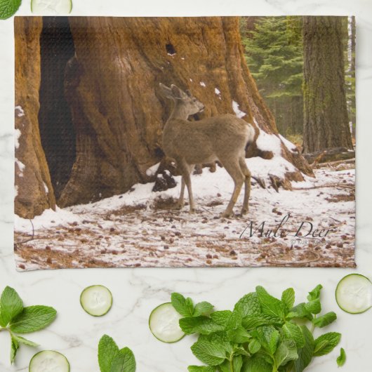Mule Deer Handtuch (Gefaltet)