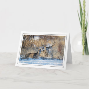 Mule Deer im schneebedeckten Gras Feiertagskarte