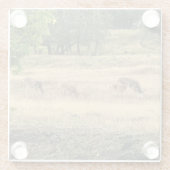Mule Deer in a Field, Joseph, Oregon Glasuntersetzer (Rückseite)