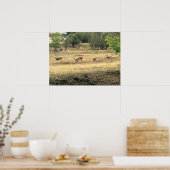 Mule Deer in a Field, Joseph, Oregon Poster (Küche)