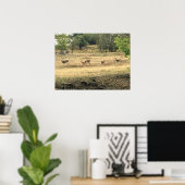 Mule Deer in a Field, Joseph, Oregon Poster (Heimbüro)