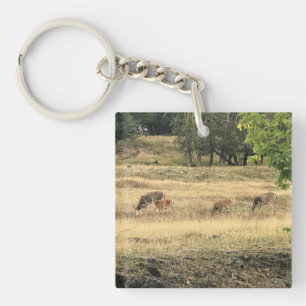 Mule Deer in a Field, Joseph, Oregon Schlüsselanhänger