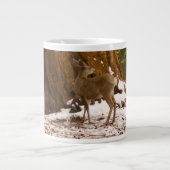 Mule Deer Jumbo-Tasse (Vorderseite)