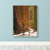 Mule Deer Leinwanddruck (Insitu (Holzboden))