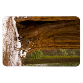 Mule Deer Magnet (Horizontal)