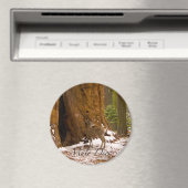 Mule Deer Magnet (In Situ (Geschirrspüler))