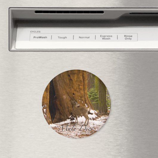 Mule Deer Magnet (In Situ (Geschirrspüler))