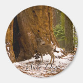 Mule Deer Magnet (Vorne)