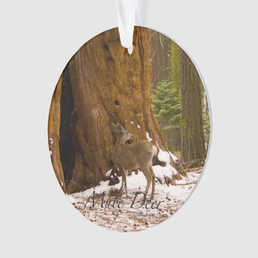 Mule Deer Ornament (Vorderseite)
