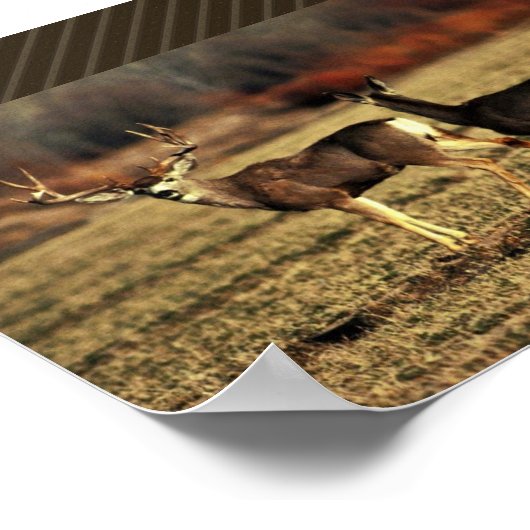 Mule Deer Poster (Ecke)