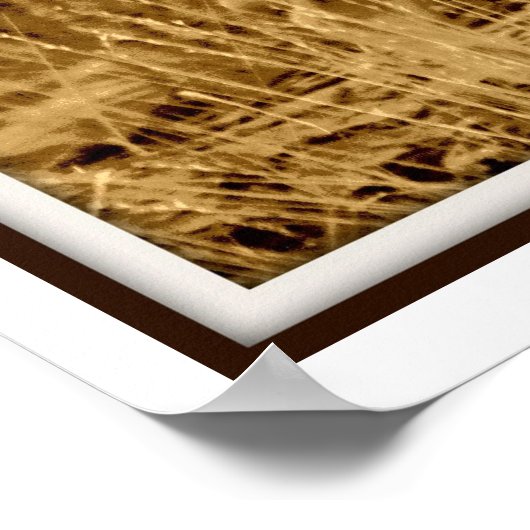 Mule Deer: Poster (Ecke)