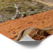 Mule Deer Poster (Ecke)