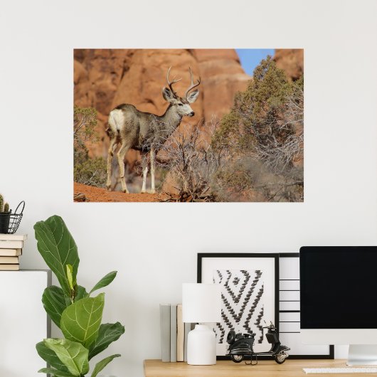 Mule Deer Poster (Heimbüro)