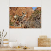 Mule Deer Poster (Küche)