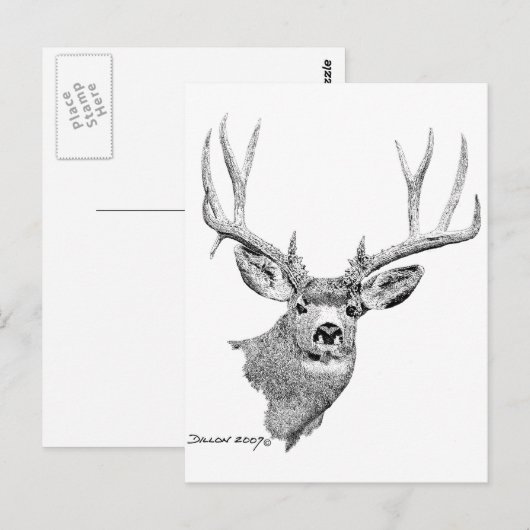 Mule Deer Postkarte (Vorne/Hinten)