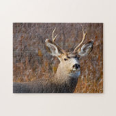 Mule Deer. Puzzle (Horizontal)