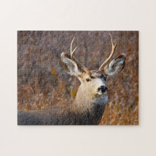 Mule Deer. Puzzle