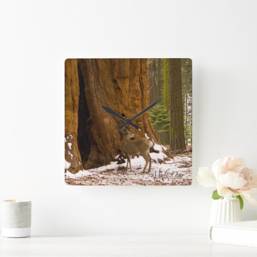 Mule Deer Quadratische Wanduhr (Zuhause)