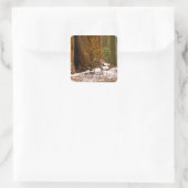 Mule Deer Quadratischer Aufkleber (Tasche)