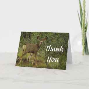 Mule Deer Raspberry Danke-Card Dankeskarte