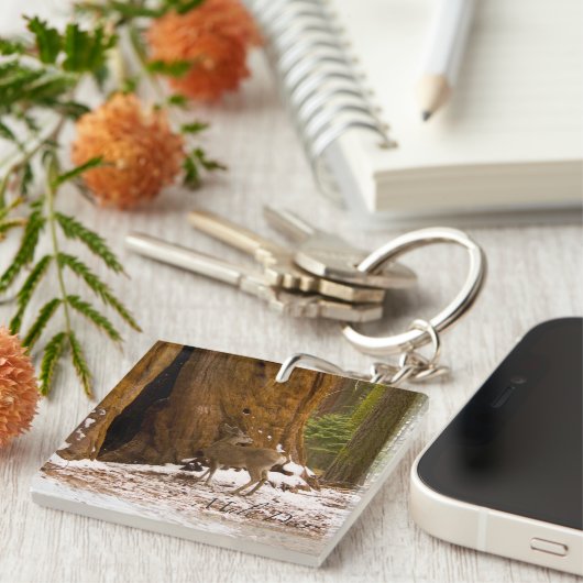 Mule Deer Schlüsselanhänger (Vorderseite rechts)