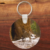 Mule Deer Schlüsselanhänger (Vorderseite)