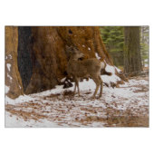 Mule Deer Schneidebrett (Vorderseite)