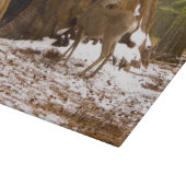 Mule Deer Schneidebrett (Ecke)