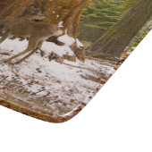 Mule Deer Schneidebrett (Ecke)
