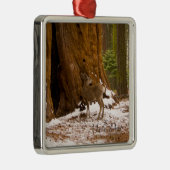 Mule Deer Silbernes Ornament (Rechts)