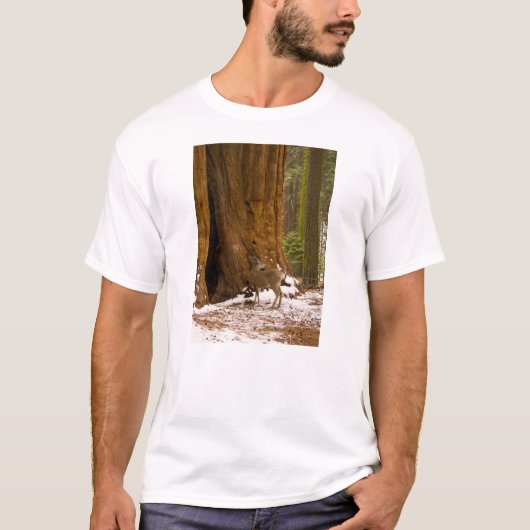 Mule Deer T-Shirt (Vorderseite)