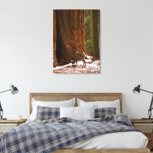 Mule Deer Wrapped Canvas Leinwanddruck (Insitu (Schlafzimmer))