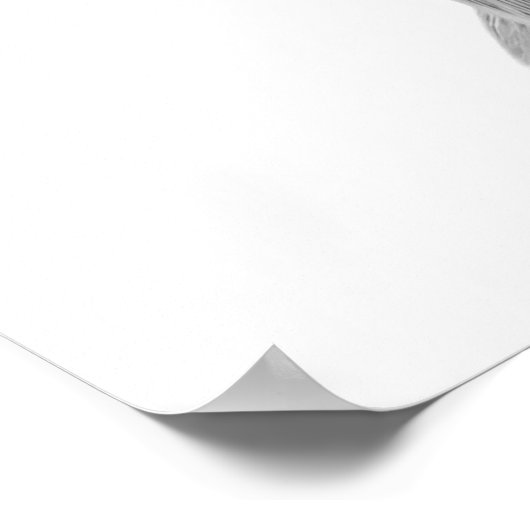 Mule Deer Wüste Animal Portrait Poster (Ecke)