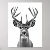 Mule Deer Wüste Animal Portrait Poster (Vorne)
