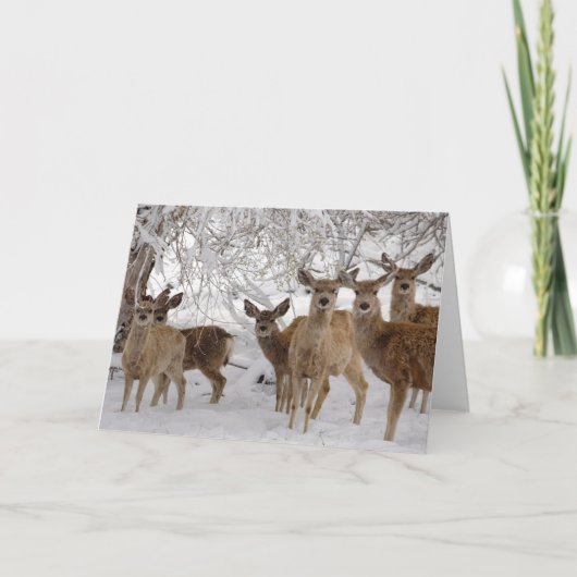 Mule Deer Wyoming Karte (Vorderseite)