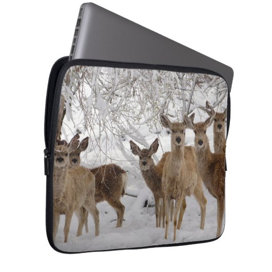 Mule Deer Wyoming Laptopschutzhülle (Vorne Rechts)