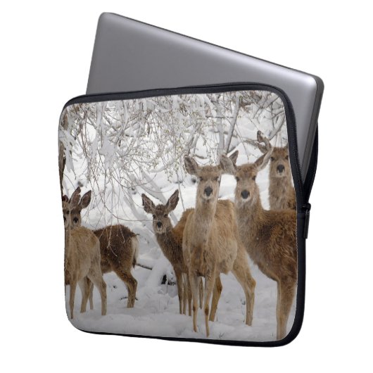 Mule Deer Wyoming Laptopschutzhülle (Vorderseite Links)